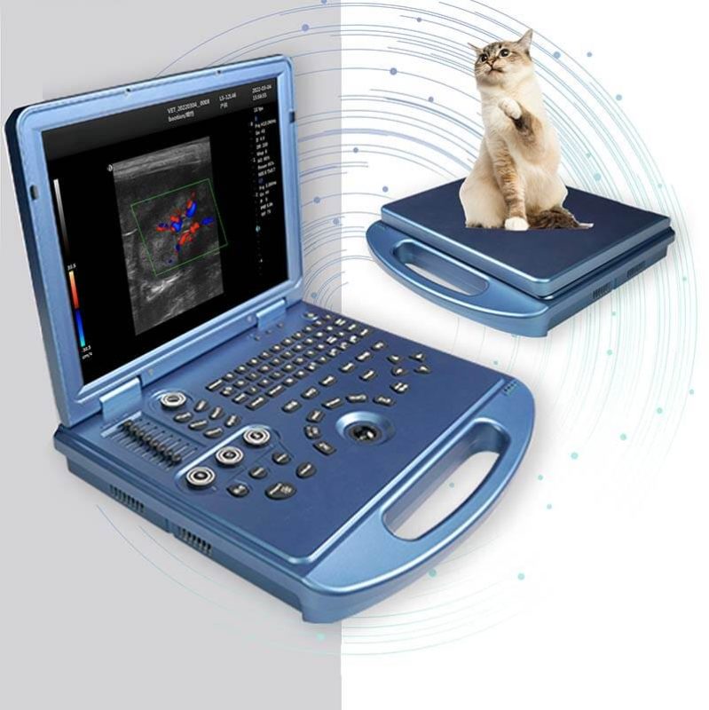 Color Doppler Ultrasound Machine